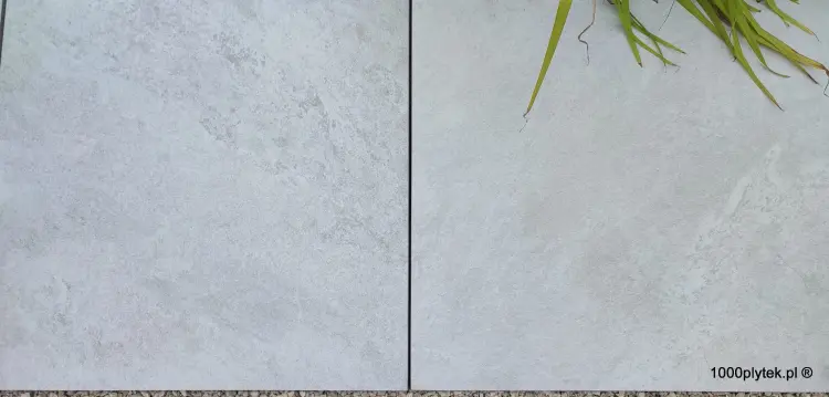1691155843022.jpg
