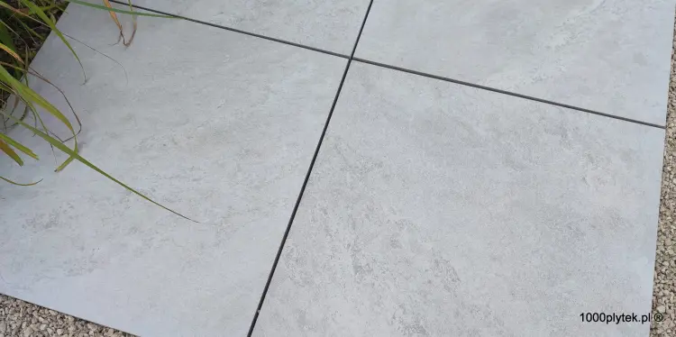 1691155843031.jpg