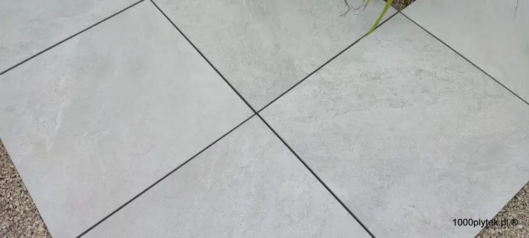 1691155843009.jpg