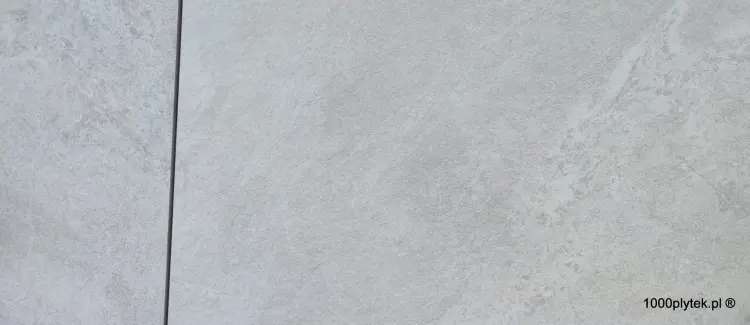 1691155842928.jpg