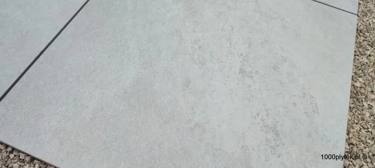 1691222905818.jpg