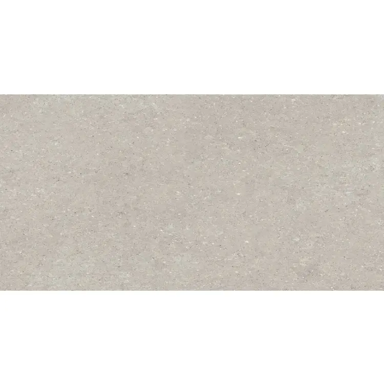 Delconca-Wild-HWD-05-Grey-60x120-plytki-gresowe-imitujace-beton.jpg