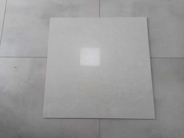 372522072_6774551815958928_5380887912431177575_n.jpg