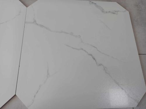 384519196_621172996758510_174225350831466417_n(1).jpg