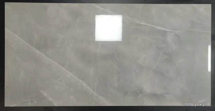 68179.jpg