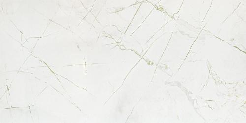 PS-Rainforest-white-GLOSS-598x1198-1.jpg