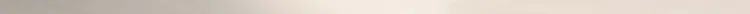 LS-Steel-29-1198x23-1.jpg