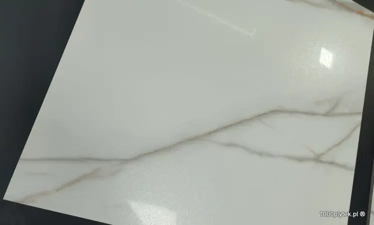 1675871209929.jpg