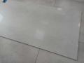406305348_701775008573461_4387349613783636228_n.jpg