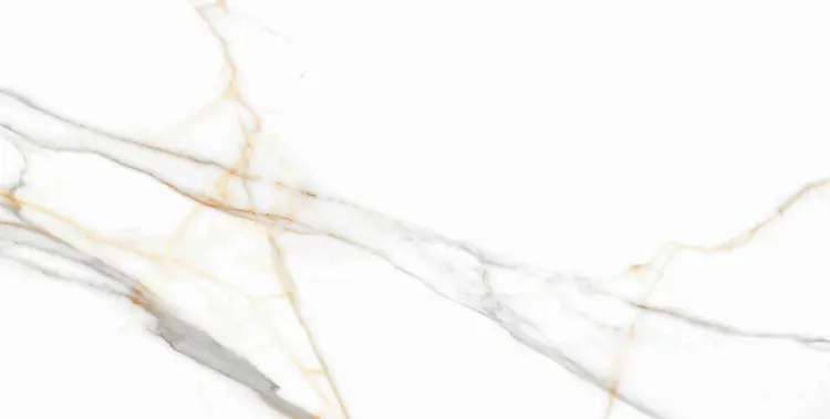 h2568h2568,1.jpg