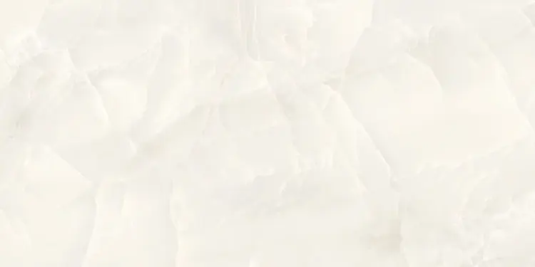 141140_1.webp
