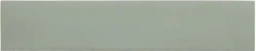 mint_.webp