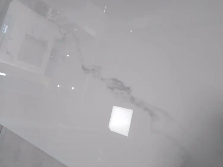 98186248_570805570516604_7751408713549742080_n.jpg