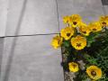 IMG_20210511_115940.jpg