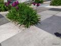 IMG_20210511_120513.jpg