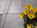 IMG_20210511_115942.jpg