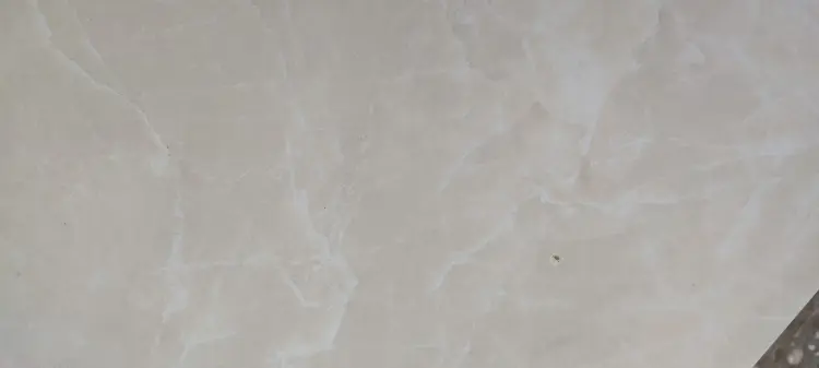 1663322325862.jpg