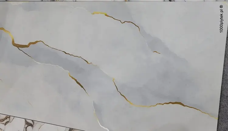 1703839601637-001.jpg