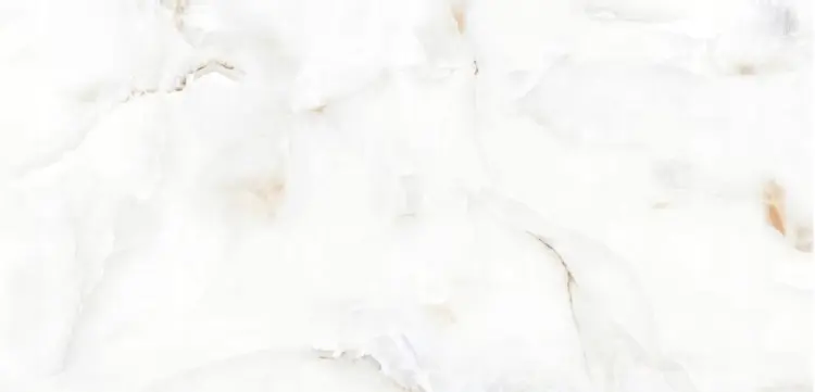 logan_snow_2_.webp