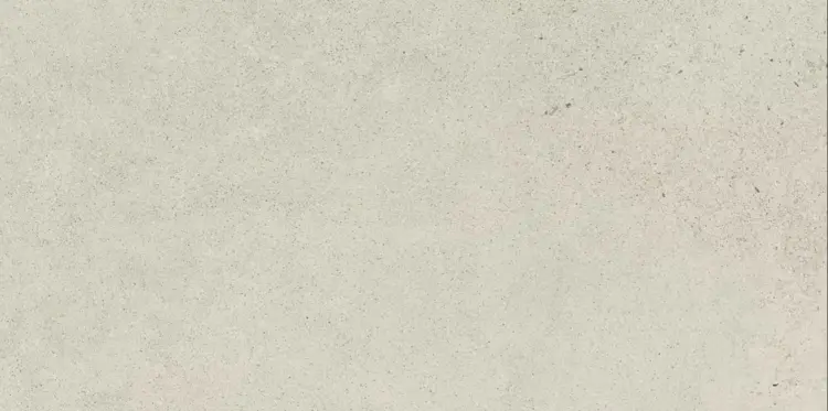 bergdust-white-plytka-scienna-rekt-mat-29-8x59-8-gat-1-5902610527258_1_.jpg