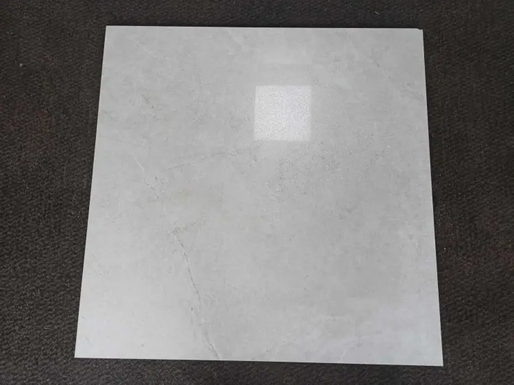 431302340_738909658389515_2837864270035986661_n.jpg