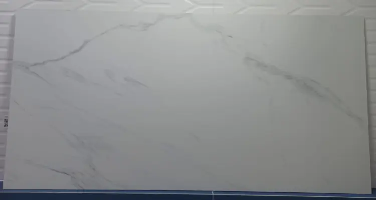 IMG_20240510_101652.jpg