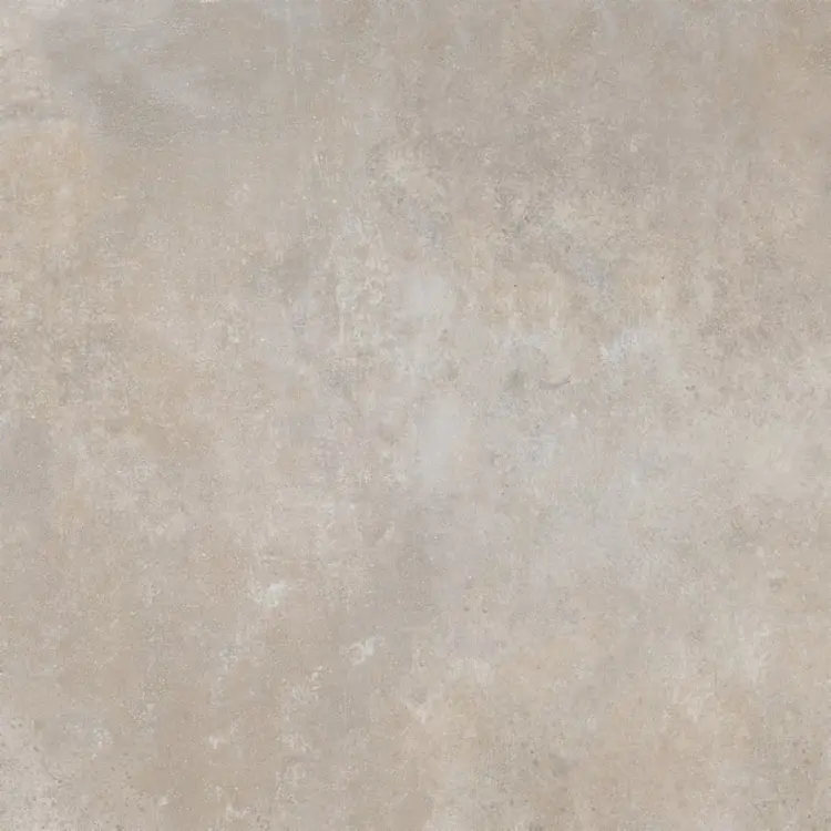 1703841181036.jpg