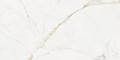calacatta_gold_60x120_f3_2.jpeg