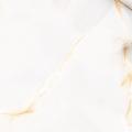 onyx_gold-03.jpg