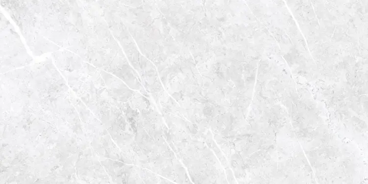 37963_0_16548.jpg
