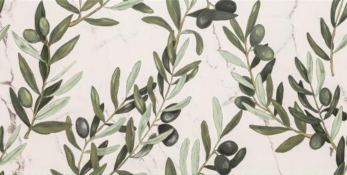 PS-Elba-olives-MAT-608x308-1.jpg