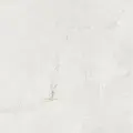 101835.