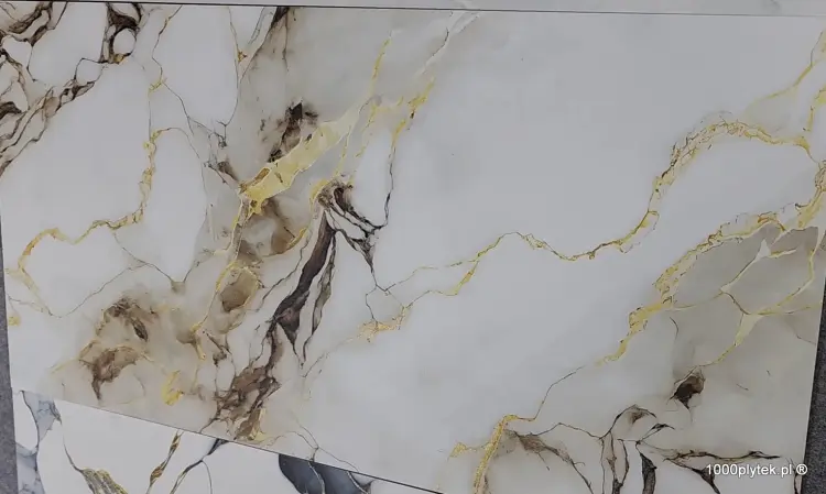 1703840677225.jpg