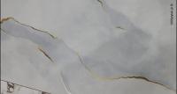 Gold Vein Marble White  60x120 gatunek I  PRÓBKA  PURE CERAMIC