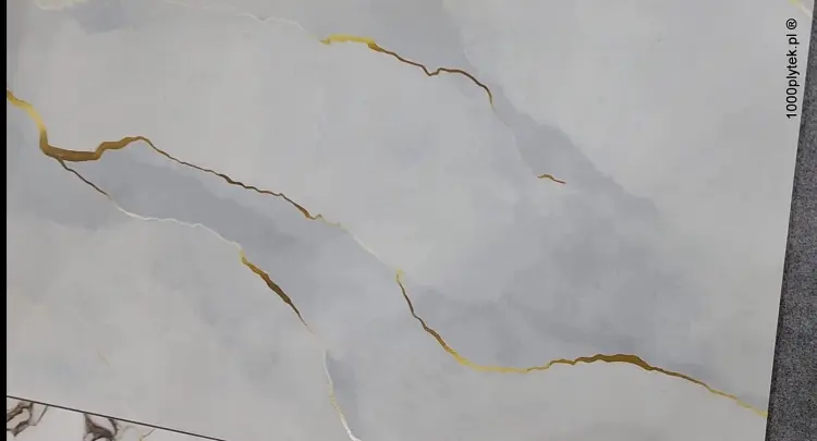 1703839601610-001.jpg