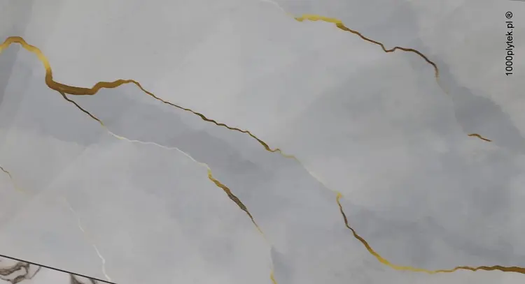 1703839601743-001.jpg