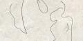 DG-Teri-Soft-Line-B_ammagqv.jpg