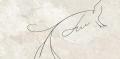 DG-Teri-Soft-Line-C_DAQPapm.jpg
