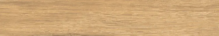 1705589836.3421.jpg