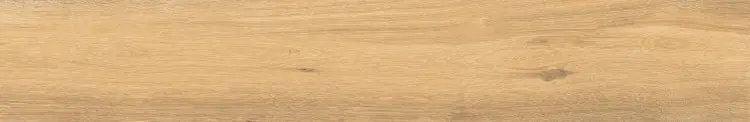 1705653133.0062.jpg