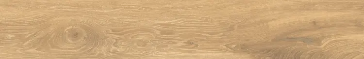 1705653145.4654.jpg