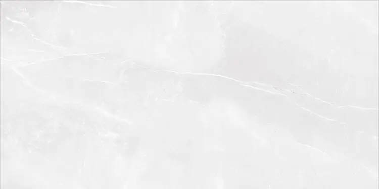 h2566h2566.jpg