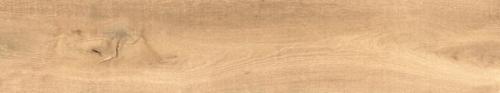 ASPEN-NATURAL-225X1195_PZA-768x144.jpg