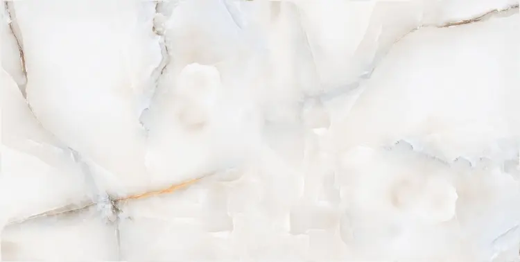 1705655602.0931.jpg