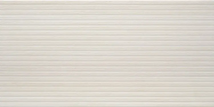 1736757263.7625.jpg