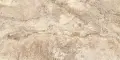 11127911.webp