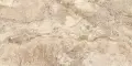 1112801.webp
