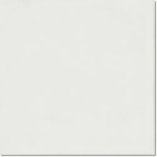 15x15 blanco.webp