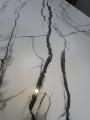 IMG-20250422-WA0011.jpg