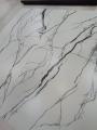 IMG-20250422-WA0003.jpg